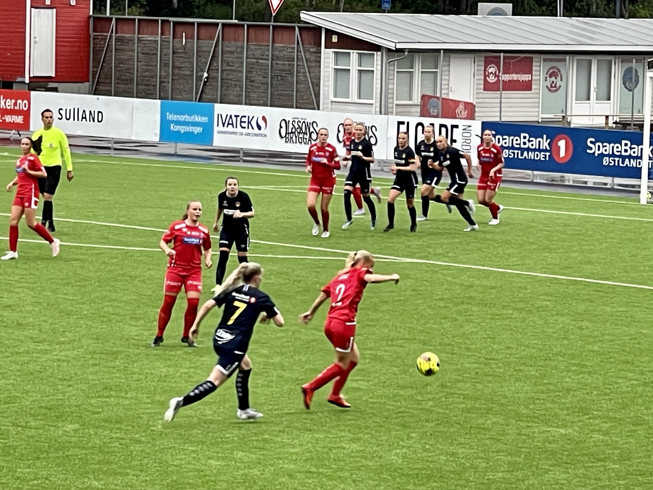 Revansje mot Bjørnevatn