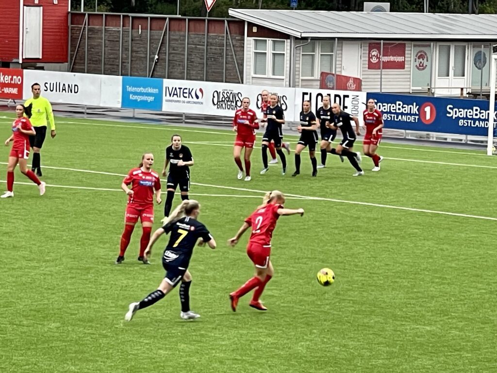 Revansje mot Bjørnevatn